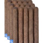 Diesel Grind Toro