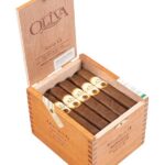 Oliva Serie G Robusto