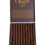 Oliva Serie V Club 20