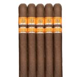 Rocky Patel Premium Portfolio Sampler