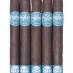 Room101 Payback Nicaragua Toro