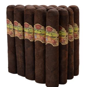 Oliva Master Blends 3 Robusto