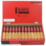 Hoyo La Amistad Dark Sumatra Media Noche